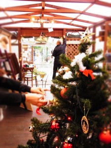 展示場にクリスマスツリーがやってきた!