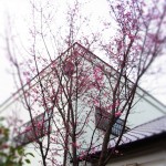 植栽やお庭づくりをお悩みの方へ