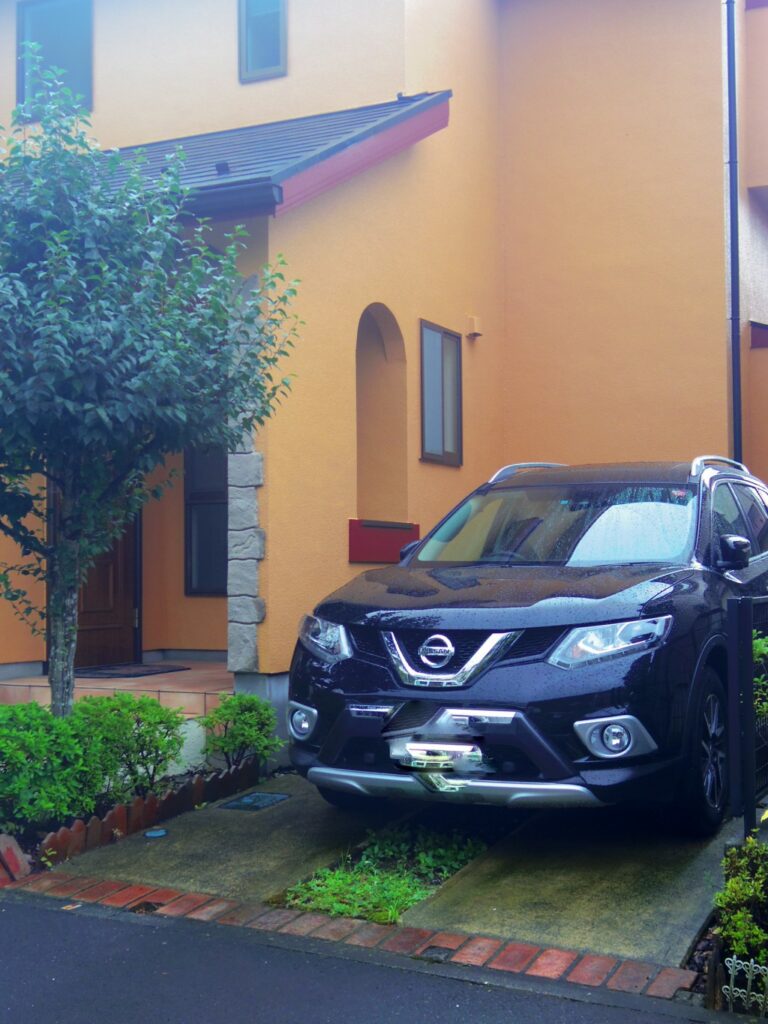 IMGP2642