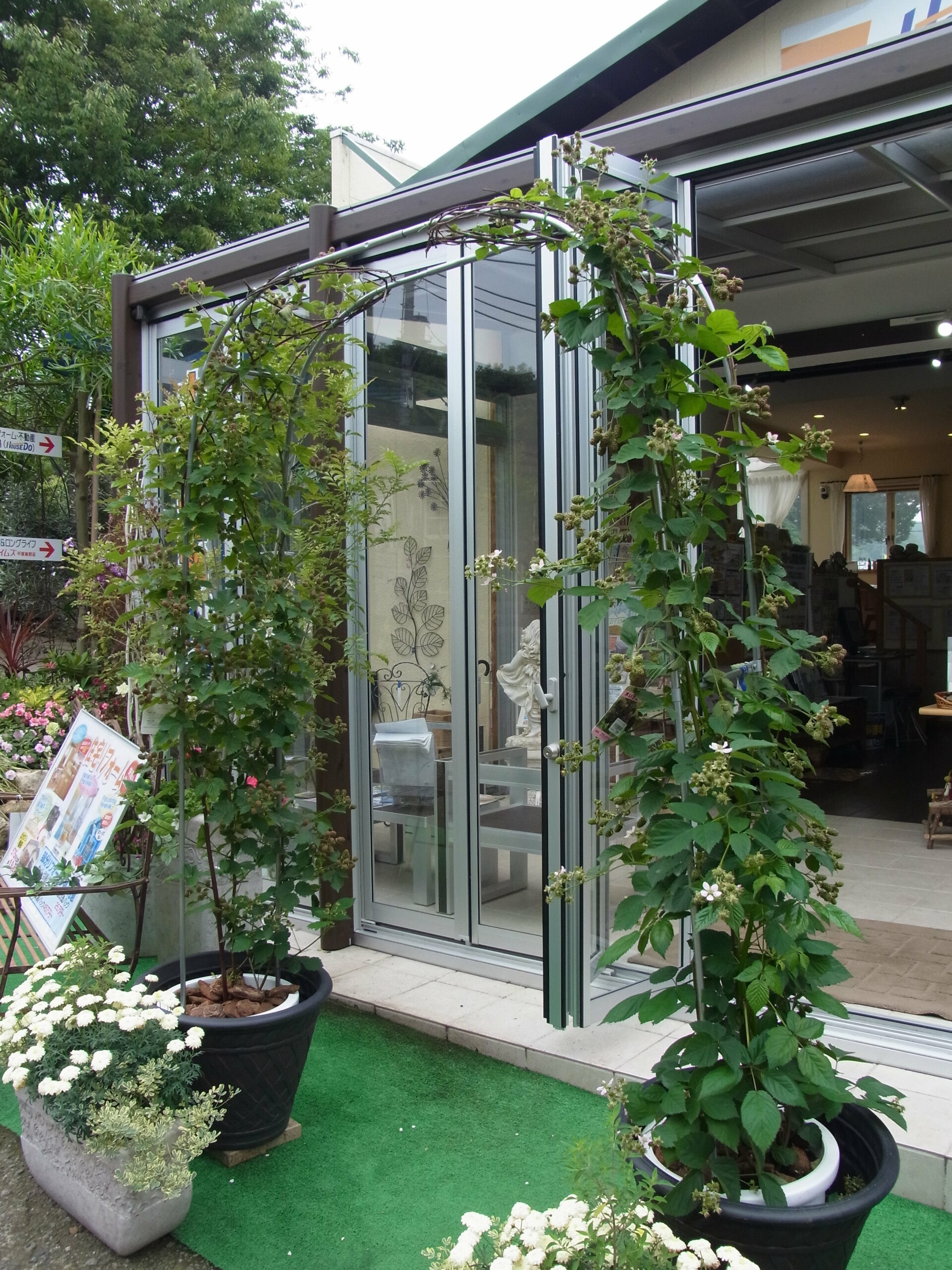 ブラックベリーのアーチはいかが ガーデン倶楽部ブログ