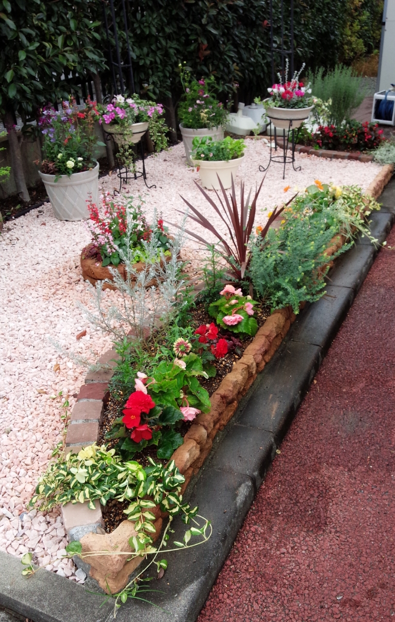 秋花壇に植え替え ガーデン倶楽部ブログ