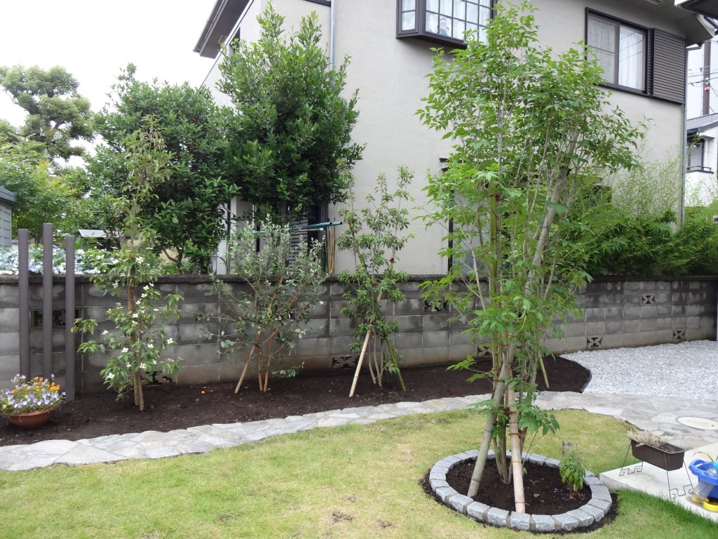 木陰をつくるシンボルツリーのあるお庭 エクステリアブログ 神奈川県平塚市 木村植物園