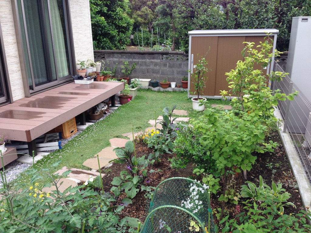 家庭菜園で楽しい毎日 緑豊かなナチュラルガーデン エクステリアブログ
