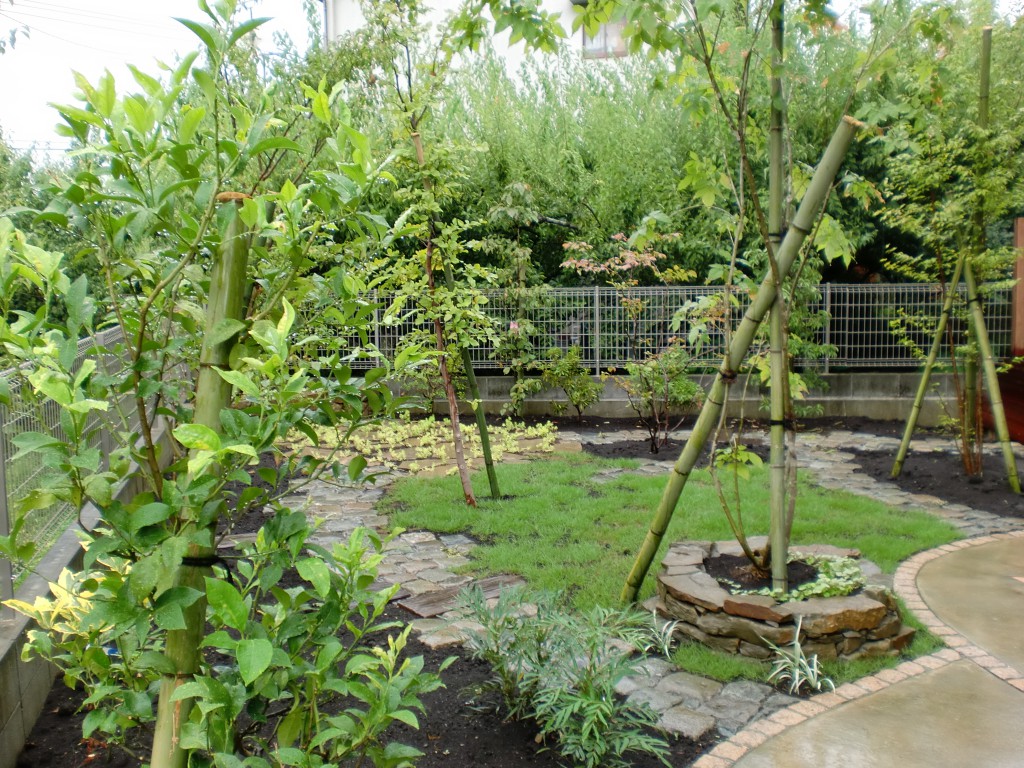 風そよぐ雑木林風のナチュラルなお庭 エクステリアブログ 神奈川県平塚市 木村植物園