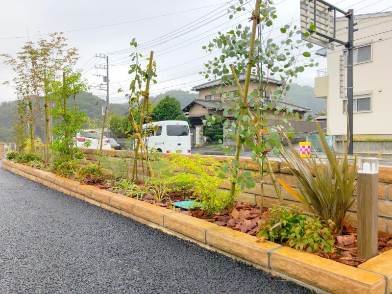 紅葉が楽しめる植栽