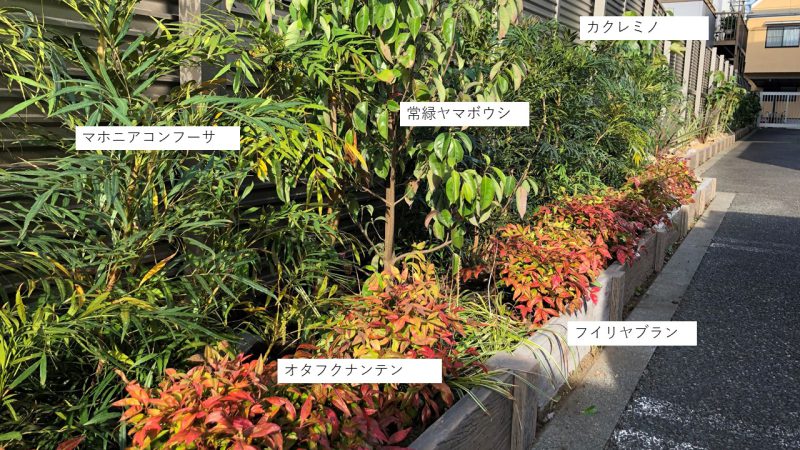 植栽の選び方