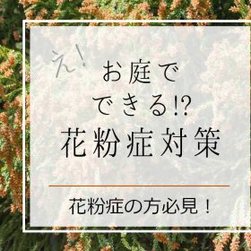 お庭でできる花粉症対策