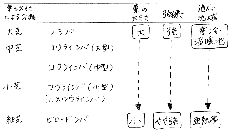 シバ類