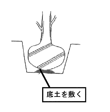 底土2