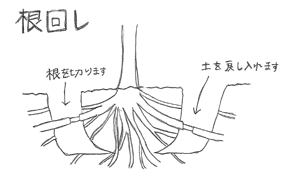 根回し2