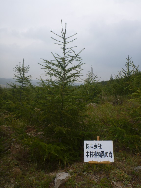 武川　木村植物園の森