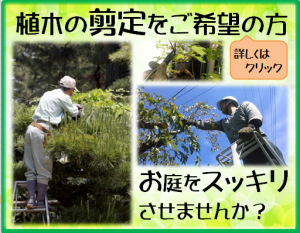 木村植物園BLG