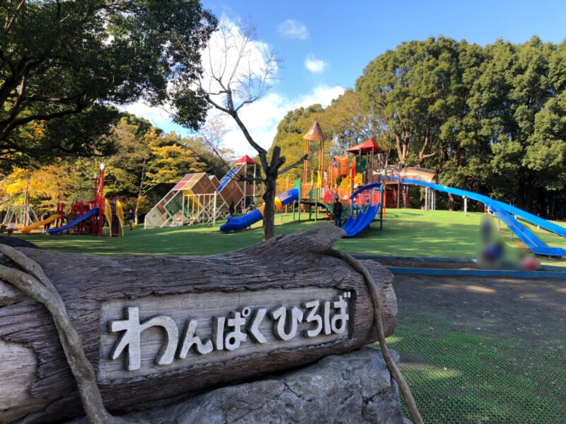 平塚総合公園わんぱく広場遊具