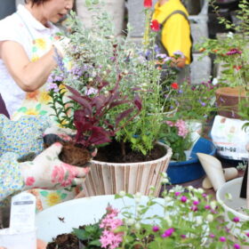 寄せ植え倶楽部開開催風景