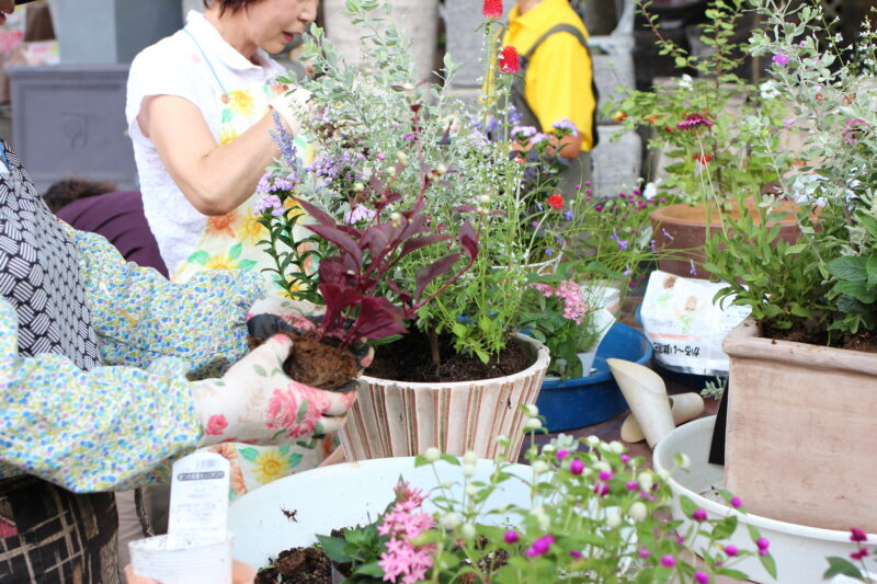 寄せ植え倶楽部開開催風景