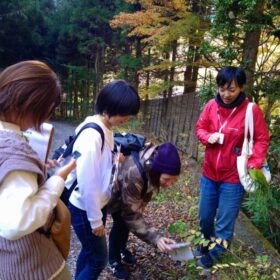 秋の和ハーブさんぽ