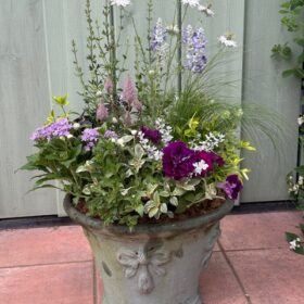 寄せ植え初心者教室