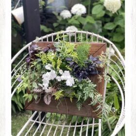 花はなフレーム寄せ植え〜観葉植物で彩る