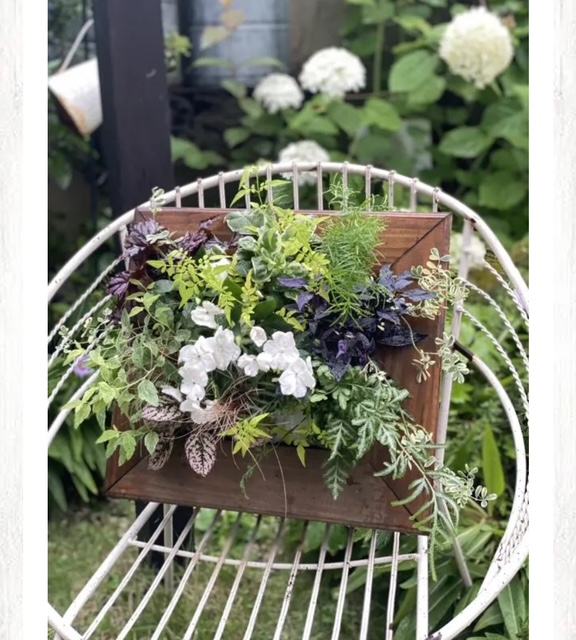 花はなフレーム寄せ植え〜観葉植物で彩る