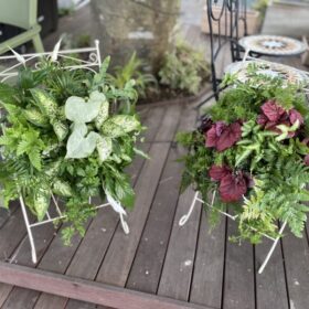 観葉植物で楽しむ ハンギングバスケット教室