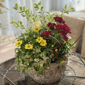 寄せ植えギャザリングのフリーレッスン