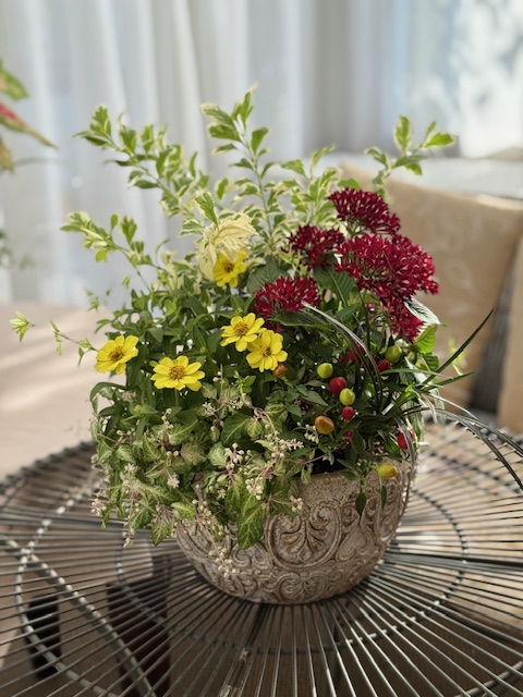寄せ植えギャザリングのフリーレッスン