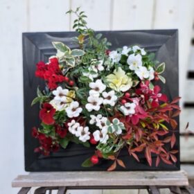 花はなフレーム教室