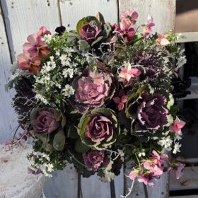 葉牡丹をメインに作る、ハンギングバスケット教室