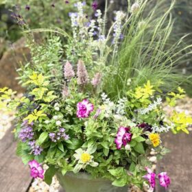 寄せ植えギャザリングのフリーレッスン