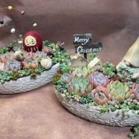 クリスマス＆お正月　寄せ植えワークショップ