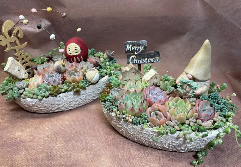 クリスマス＆お正月　寄せ植えワークショップ