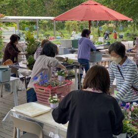 寄せ植え倶楽部