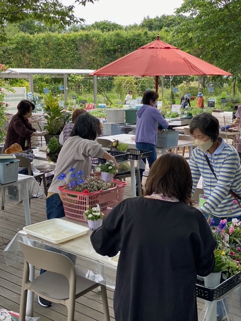 寄せ植え倶楽部