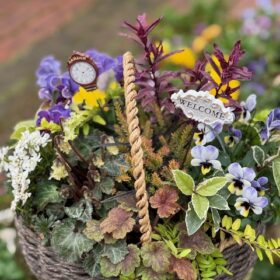 寄せ植えギャザリングのフリーレッスン