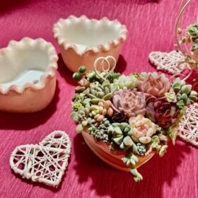 バレンタイン寄せ植え