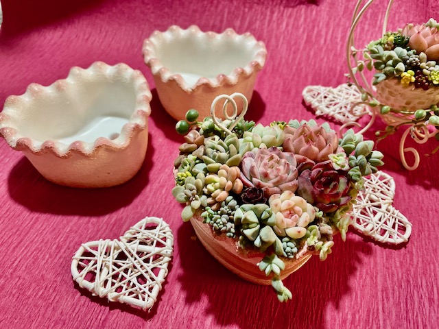 バレンタイン寄せ植え