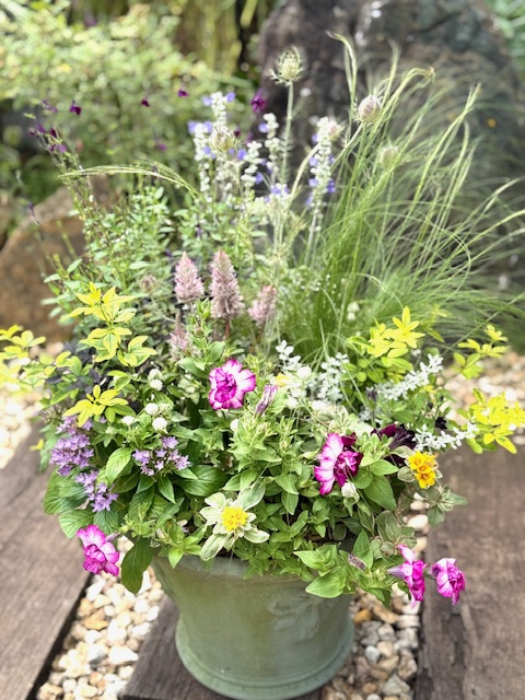 寄せ植えギャザリングのフリーレッスン