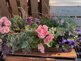 傾斜コンテナ寄せ植え教室