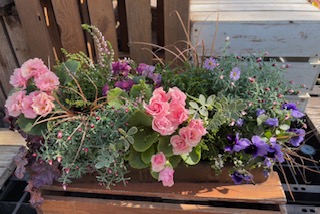 傾斜コンテナ寄せ植え教室