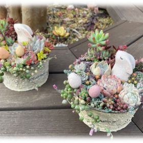 多肉寄せ植え　ワークショップ