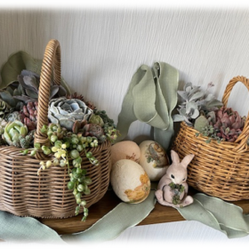 多肉バスケット寄せ植えワークショップ