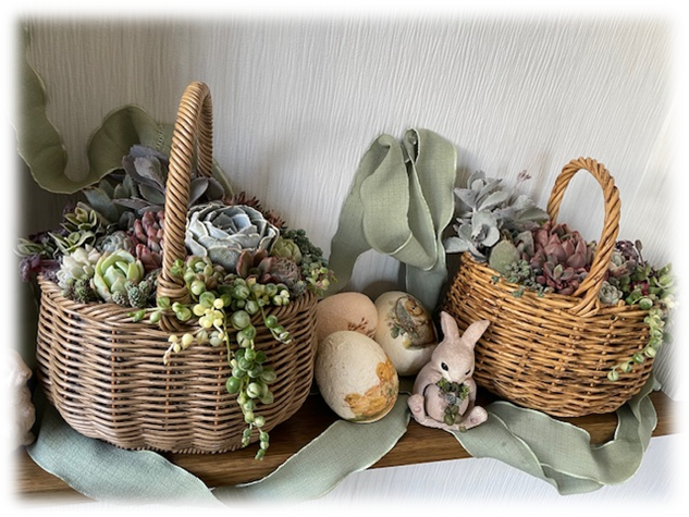 多肉バスケット寄せ植えワークショップ