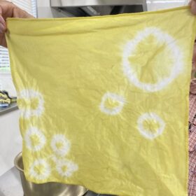 竹の葉で草木染め体験をしてみよう！
