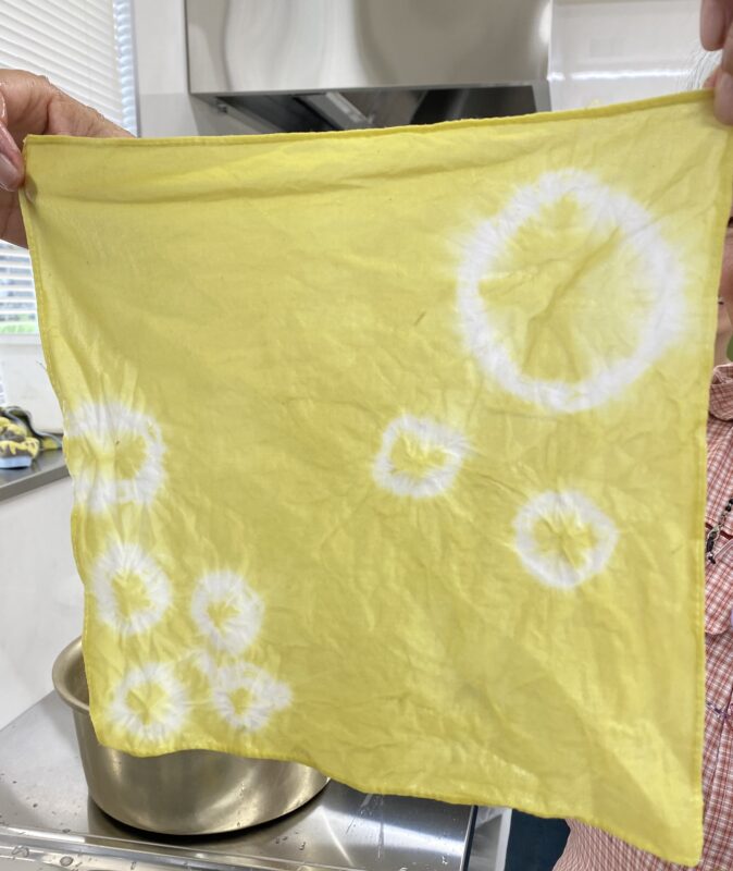 竹の葉で草木染め体験をしてみよう！