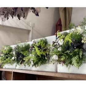 花はなフレーム寄せ植え〜観葉植物で彩る