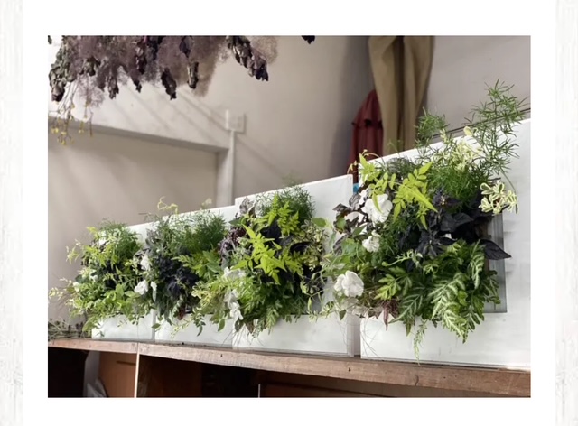 花はなフレーム寄せ植え〜観葉植物で彩る