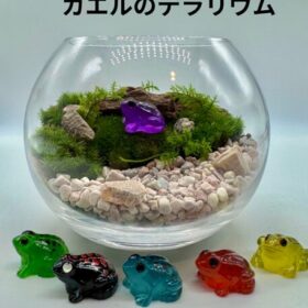 トロピカル風　カエルのテラリウム