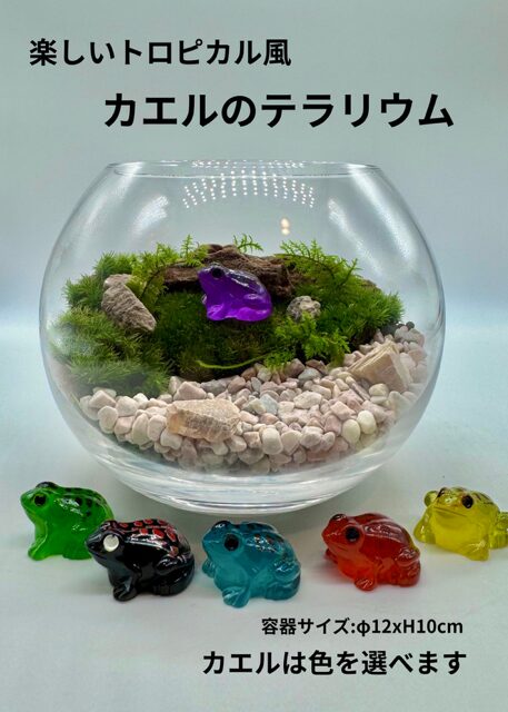 トロピカル風　カエルのテラリウム