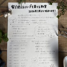 2026年ハーブ倶楽部