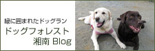 木村植物園「ドッグフォレスト湘南」のブログ